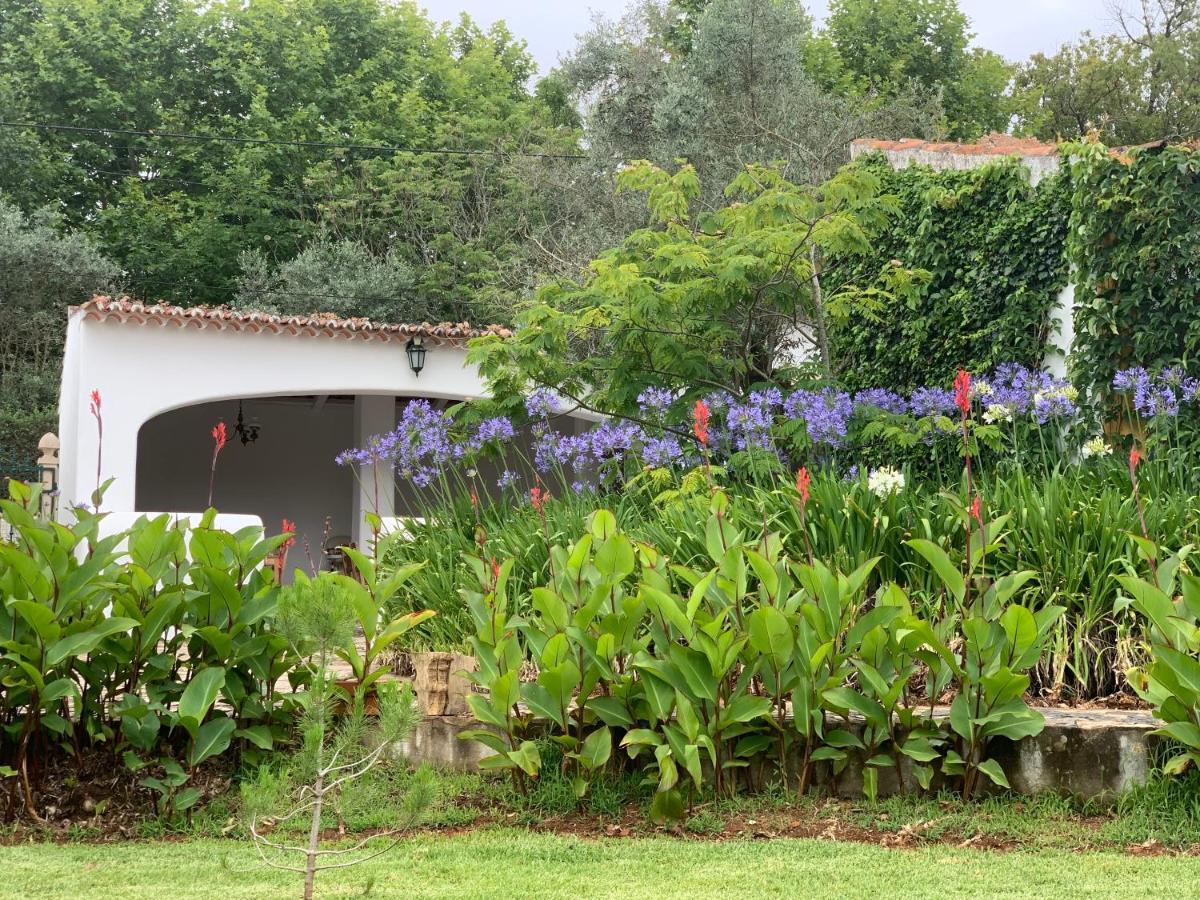 Quinta Dos Girassois Fz Apartment Ferreira do Zêzere Exterior foto